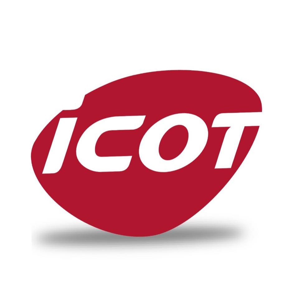 Grupo ICOT